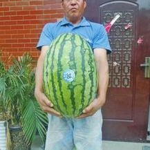 热门大瓜每日大赛,揭秘娱乐圈最新爆料，大赛精彩瞬间回顾